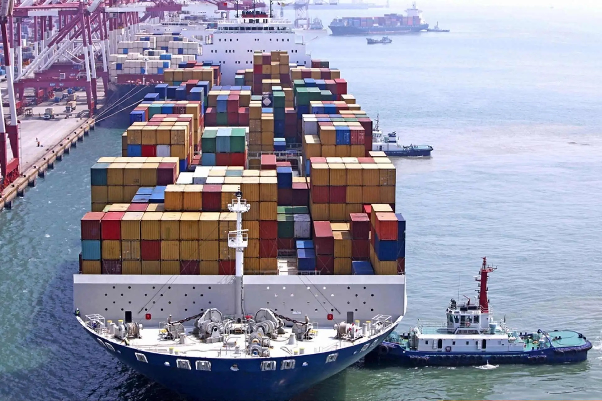 importers